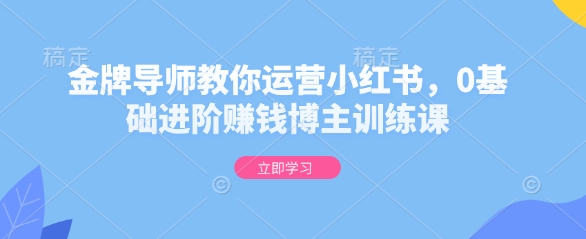 金牌导师教你运营小红书，0基础进阶赚钱博主训练课-资源云
