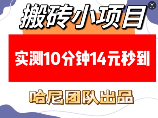 搬砖小项目，实测10分钟14元秒到，每天稳定几张(赠送必看稳定)-资源云