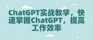 ChatGPT实战教学，快速掌握ChatGPT，提高工作效率-资源云