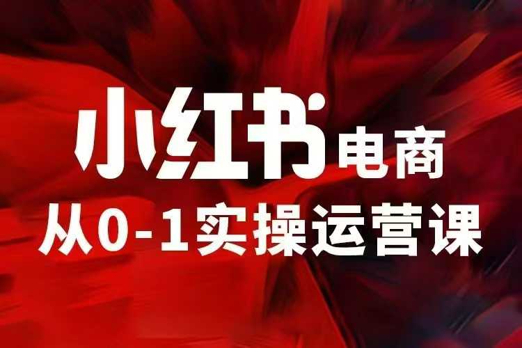 小红书电商运营，97节小红书vip内部课，带你实现小红书赚钱-资源云