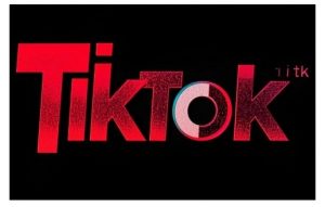 TikTok ads投流秘籍，涵盖tiktok整体投放思路，教你搭建测试计划-资源云