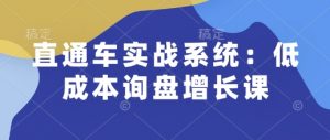 直通车实战系统：低成本询盘增长课，让个人通过技能实现升职加薪，让企业低成本获客，订单源源不断-资源云