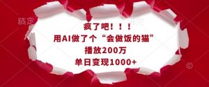 疯了吧！用AI做了个“会做饭的猫”，播放200万，单日变现1k-资源云