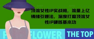 顶流女性IP实战班，流量上亿情绪引爆法，深度打磨顶流女性IP硬核基本功-资源云