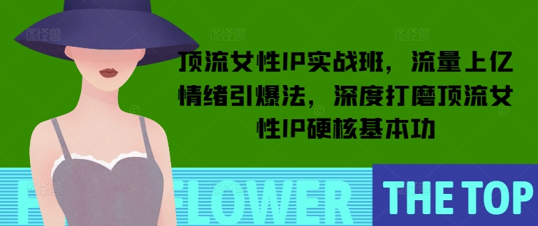 顶流女性IP实战班，流量上亿情绪引爆法，深度打磨顶流女性IP硬核基本功-资源云