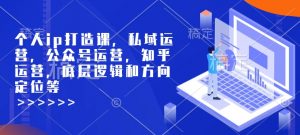 个人ip打造课,私域运营,公众号运营,知乎运营,底层逻辑和方向定位等-资源云