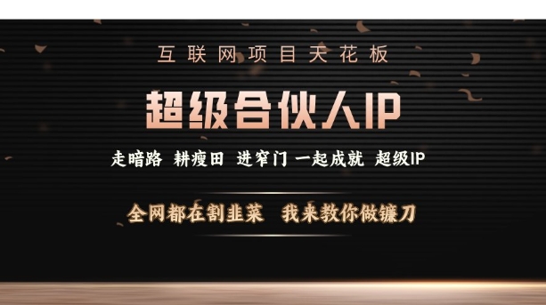 互联网项目天花板，超级合伙人IP，全网都在割韭菜，我来教你做镰刀【仅揭秘】-资源云