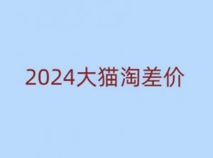 2024版大猫淘差价课程,新手也能学的无货源电商课程-资源云