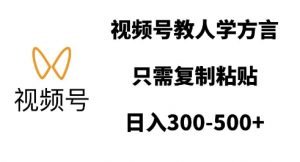 视频号教人学方言,只需复制粘贴,日入多张-资源云