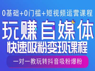 0基础+0门槛+短视频运营课程，玩赚自媒体快速吸粉变现课程，一对一教玩转抖音吸粉爆粉-资源云