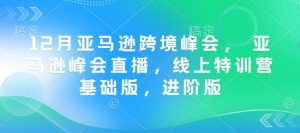 12月亚马逊跨境峰会， 亚马逊峰会直播，线上特训营基础版，进阶版-资源云