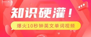 知识硬灌,1分钟教会你,利用AI制作爆火10秒钟记一个英文单词视频-资源云