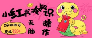 小红书冷知识账号,无脑复制粘贴,5分钟即可变现3张-资源云