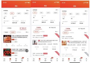 2025最新京东蓝海项目，0 门槛日入 1k+，小白宝妈轻松上手【揭秘】-资源云