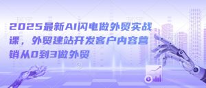 2025最新AI闪电做外贸实战课,外贸建站开发客户内容营销从0到3做外贸-资源云