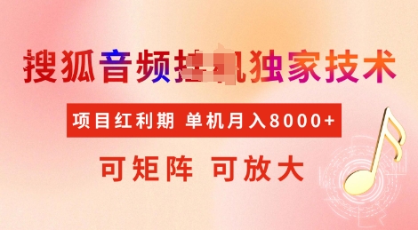 全网首发搜狐音频挂JI独家技术，项目红利期，可矩阵可放大，稳定月入8k【揭秘】-资源云
