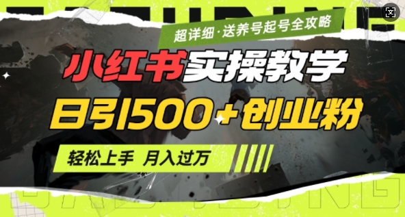 2月小红书最新日引500+创业粉实操教学【超详细】小白轻松上手，月入1W+，附小红书养号起号SOP-资源云