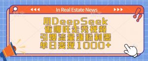 用DeepSeek做哪吒走秀视频，引爆流量涨粉利器，单日变现1k-资源云