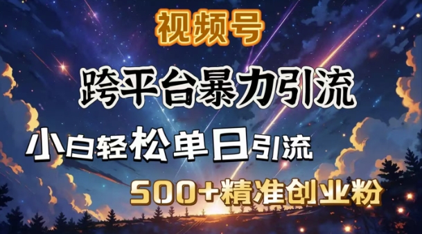 跨平台暴力引流，私域完美闭环，日引500+精准创业粉-资源云