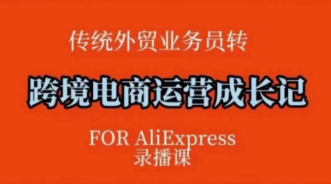 跨境电商速卖通运营课，​运营方法论+后台实操，逻辑清晰-资源云
