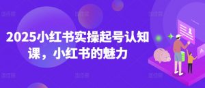 2025小红书实操起号认知课,小红书的魅力-资源云