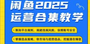 2025闲鱼电商运营全集,2025最新咸鱼玩法-资源云