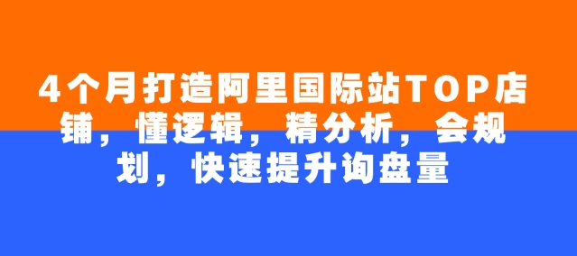 4个月打造阿里国际站TOP店铺，懂逻辑，精分析，会规划，快速提升询盘量-资源云