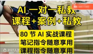 AI指令实战课,课程+案例,80节AI实战课程,笔记指令随意享用,课程指令随意享用-资源云