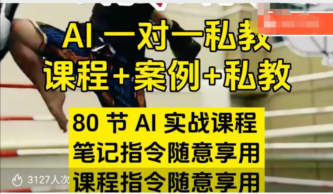 AI指令实战课，课程+案例，80节AI实战课程，笔记指令随意享用，课程指令随意享用-资源云