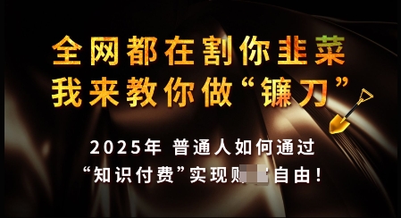 知识付费如何做到月入过W+，2025我来教你做“镰刀”【揭秘】-资源云