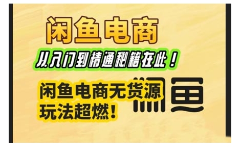 闲鱼电商实战课，从入门到精通秘籍在此，闲鱼电商无货源玩法超燃!-资源云