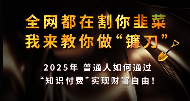 全网都在割你韭菜，我来教你做镰刀，2025年普通人如何通过 知识付费 实现财F自由【揭秘】-资源云