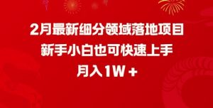 2月最新细分领域落地项目,新手小白也可快速上手,月入1W-资源云