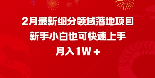 2月最新细分领域落地项目，新手小白也可快速上手，月入1W-资源云