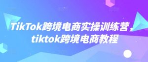 TikTok跨境电商实操训练营，tiktok跨境电商教程-资源云