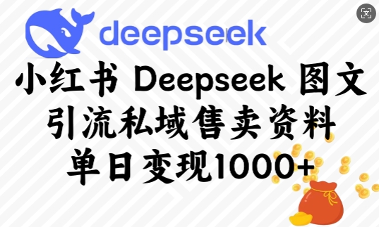 小红书Deepseek图文引流私域售卖资料，单日变现多张-资源云