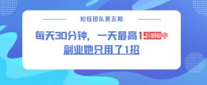 副业她只用了1招,每天30分钟,无脑二创,一天最高1.5k-资源云
