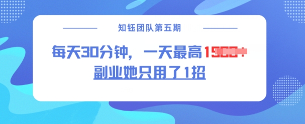 副业她只用了1招，每天30分钟，无脑二创，一天最高1.5k-资源云