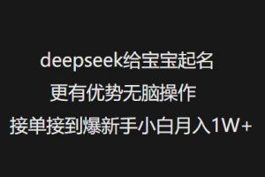 deepseek给宝宝起名更有优势无脑操作接单接到爆新手小白月入1W+-资源云