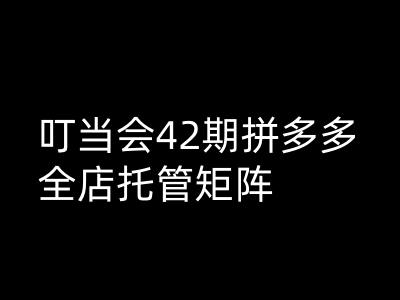叮当会拼多多打爆班原创高阶技术第42期，拼多多全店托管矩阵-资源云