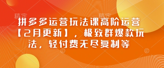 拼多多运营玩法课高阶运营【2月更新】，极致群爆款玩法，轻付费无尽复制等-资源云