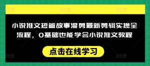 小说推文短篇故事混剪最新剪辑实操全流程，0基础也能学会小说推文教程，肯干多发日入多张-资源云