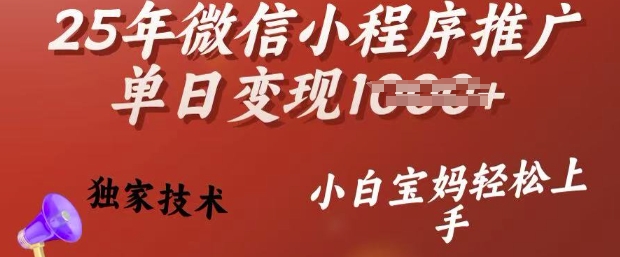 25年微信小程序推广单日变现多张，独家技术，小白宝妈轻松上手【揭秘】-资源云