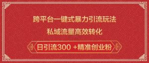 跨平台一键式暴力引流玩法,私域流量高效转化日引流300 +精准创业粉-资源云