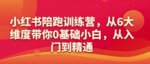 小红书陪跑训练营,从6大维度带你0基础小白,从入门到精通-资源云