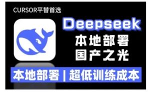 2025年deepseek R1 大型模型本地安装部署(文件+教程)本地部署,超低训练成本-资源云