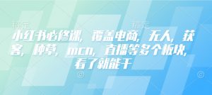 小红书必修课,覆盖电商,无人,获客,种草,mcn,直播等多个板块,看了就能干-资源云