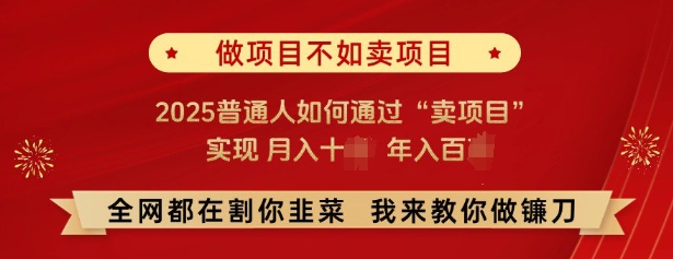 必看，做项目不如卖项目，2025普通人如何通过“卖项目”实现月入十个，年入百个-资源云