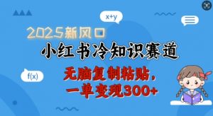 2025新风口,小红书冷知识赛道,无脑复制粘贴,一单变现300+-资源云