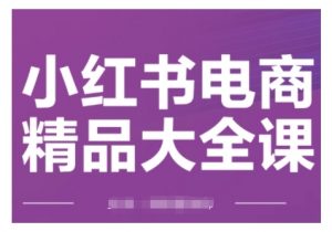 小红书电商精品大全课,快速掌握小红书运营技巧,实现精准引流与爆单目标,轻松玩转小红书电商(更新2月)-资源云